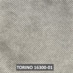 TORINO 16300-01